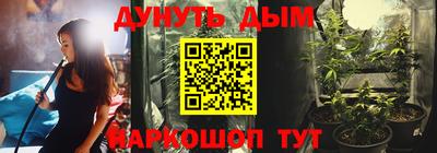 Альфа ПВП Бийск